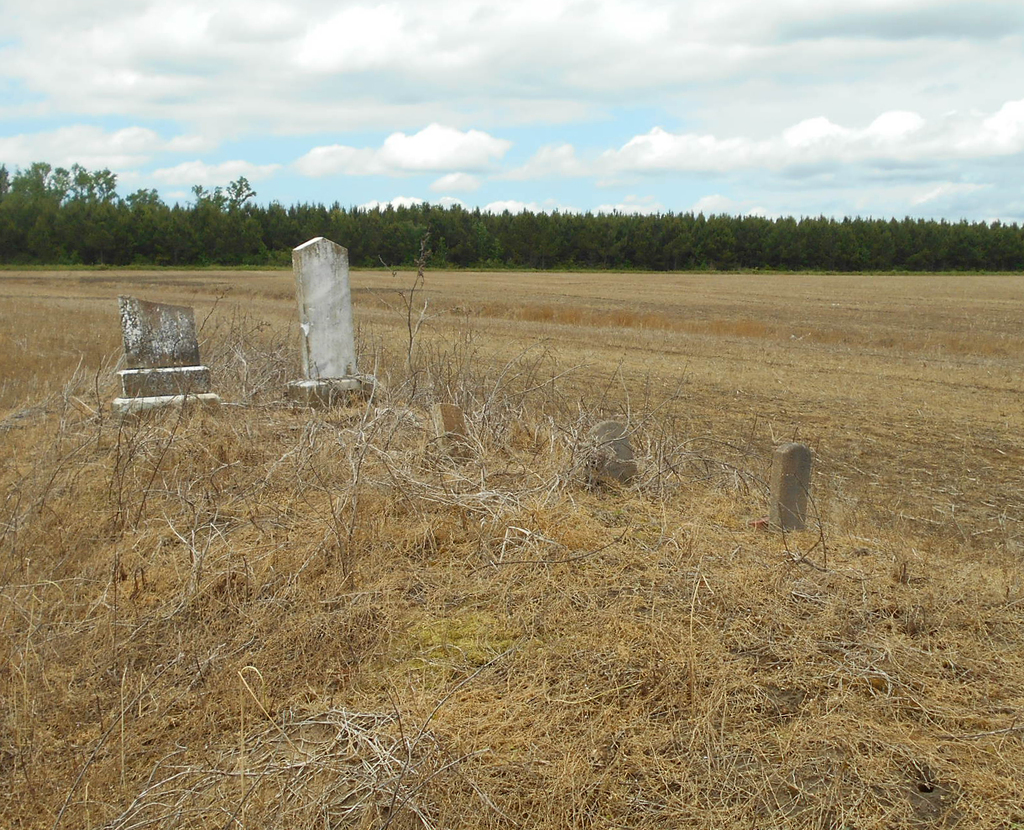 Brinson Family Cemetery