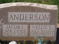 Jacob Lee Anderson 
