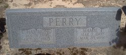 Mamie <I>Tilley</I> Perry 