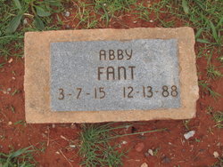 Abby Fant 