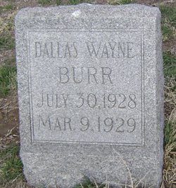 Dallas Wayne Burr 