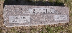Edward D Blecha 
