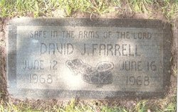David J Farrell 