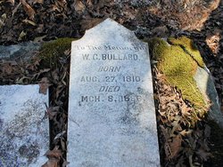 William Green Bullard 