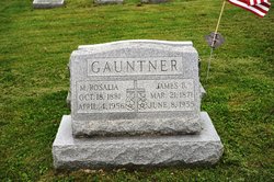 James B Gauntner 