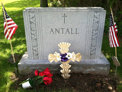 John J Antall 