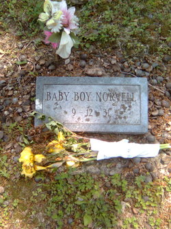 Baby Boy Norvell 