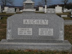 David D. Auchey 