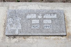 Ann J Allen 