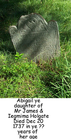 Abigail Holgate 