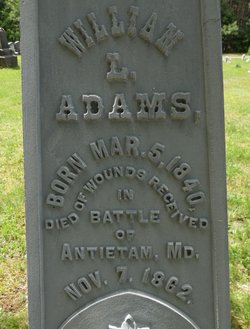 William Levi Adams 