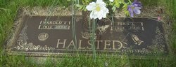 Harold Everett Halsted 