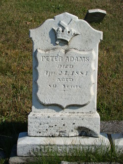 Peter Adams 