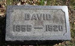 David Andrews 