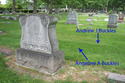 Andrew Jackson Buckles 