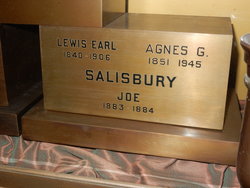 Lewis Earl Salisbury 