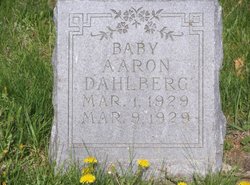 Aaron Carl Dahlberg 
