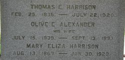 Mary Eliza Harrison 