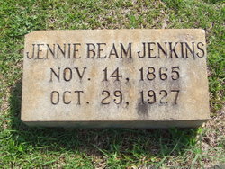 Anna Jennie <I>Beam</I> Jenkins 