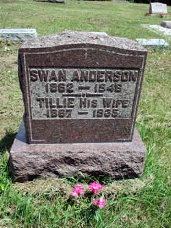 Swan Magnus Anderson 
