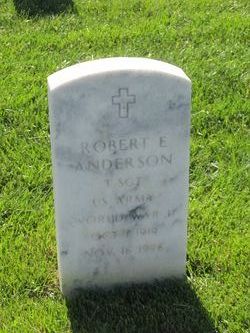 Robert E Anderson 