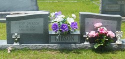 Aaron Jackson Gibson Sr.