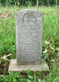 Annie May Blackwood 