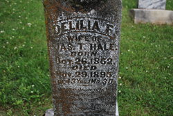 Delilia Frances <I>Rich</I> Hale 