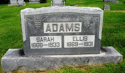 Sarah <I>Null</I> Adams 