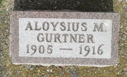 Aloysius M. Gurtner 