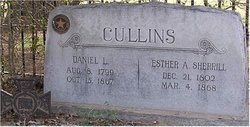 Daniel L. Cullins 