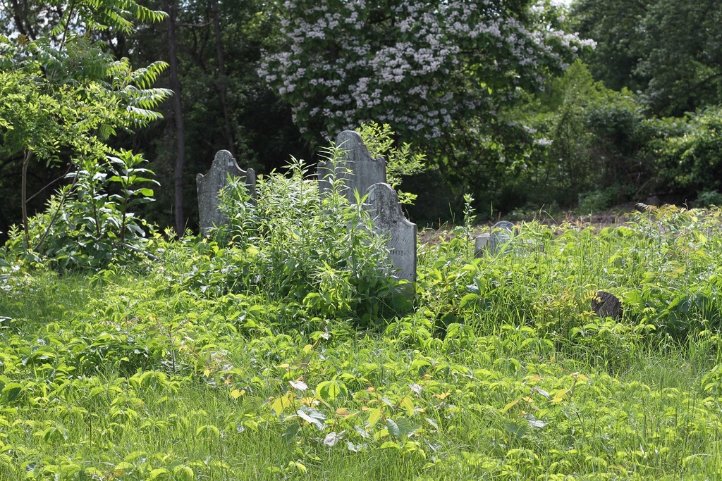 Vedder Cemetery