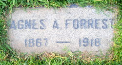 Agnes Ann Forrest 