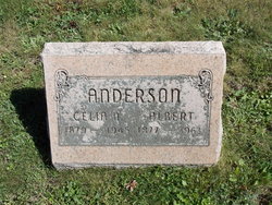 Albert Anderson 