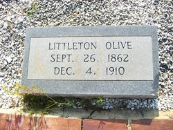 Littleton Olive 
