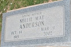 Nellie Mae <I>Bradley</I> Anderson 