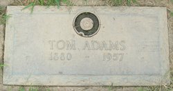 Tom Adams 