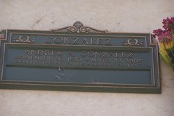 Andres A. Gonzalez 
