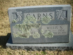 Willis Newton Carns 