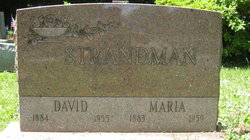 David Strandman 