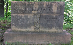 Gertrude G Fellows 