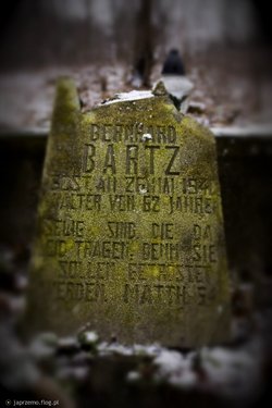Bernhard Bartz 