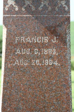 Francis J Arnold 