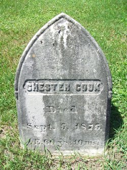 Chester Cook 