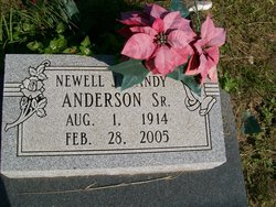 Newell J. “Andy” Anderson 