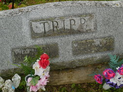 Cyrus M. Tripp 