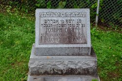 Joseph D. Ripp 