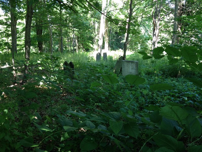 Merwin Cemetery