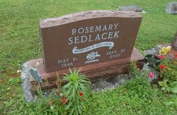 Rosemary Ann <I>Sedlacek</I> Goecke 