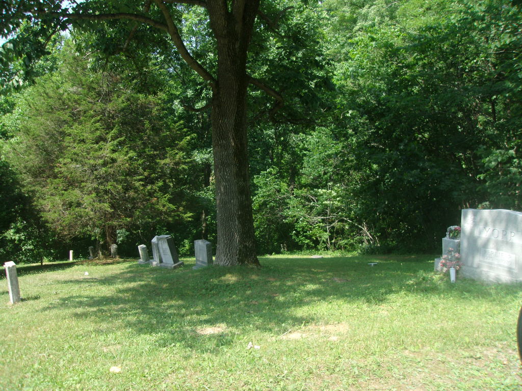 Wheeling-Young Cemetery